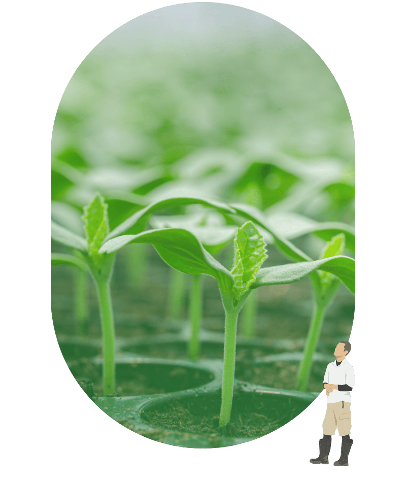 真庭で農業を始めたい方へ