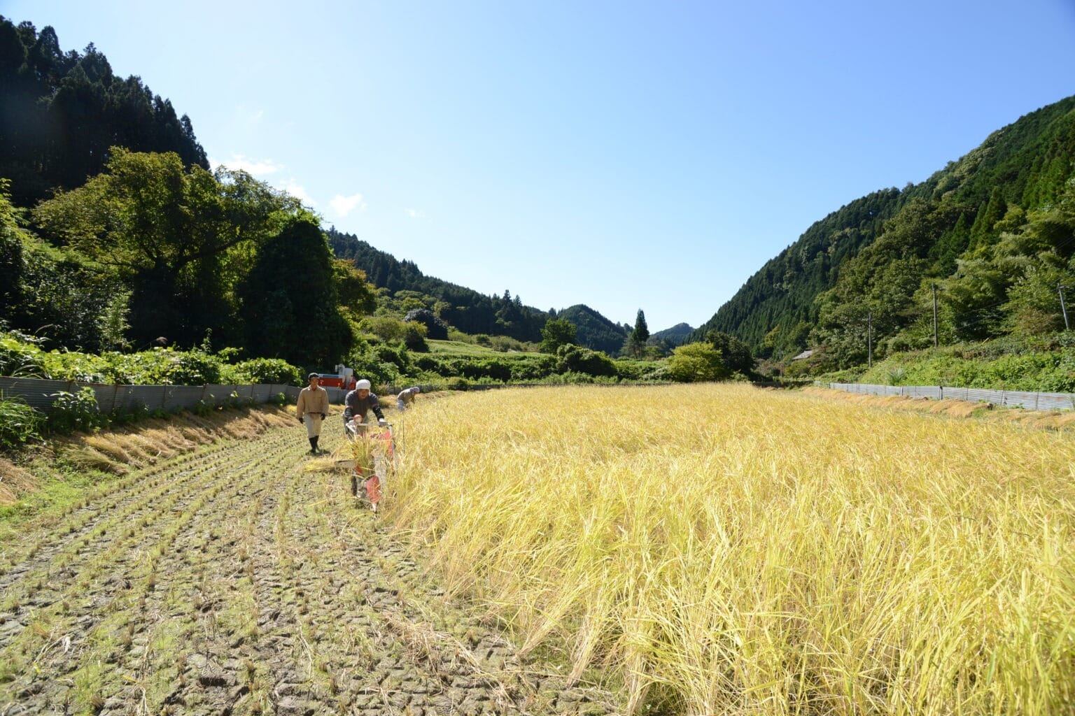 中国・四国ブロック農業支援サービス意見交換会