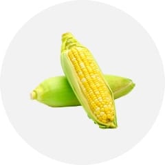 トウモロコシ