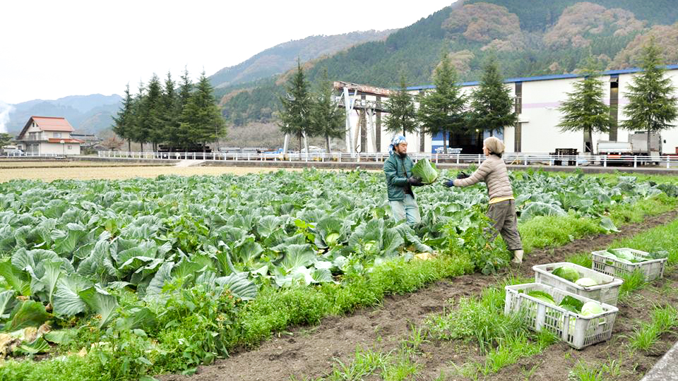 真庭農業普及指導センター