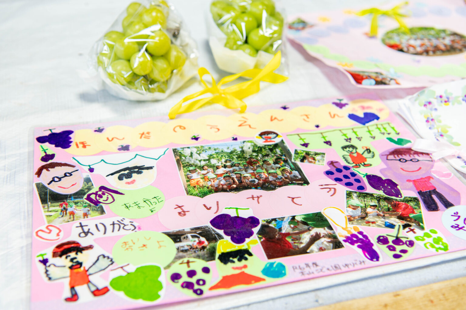 ブドウ栽培の様子