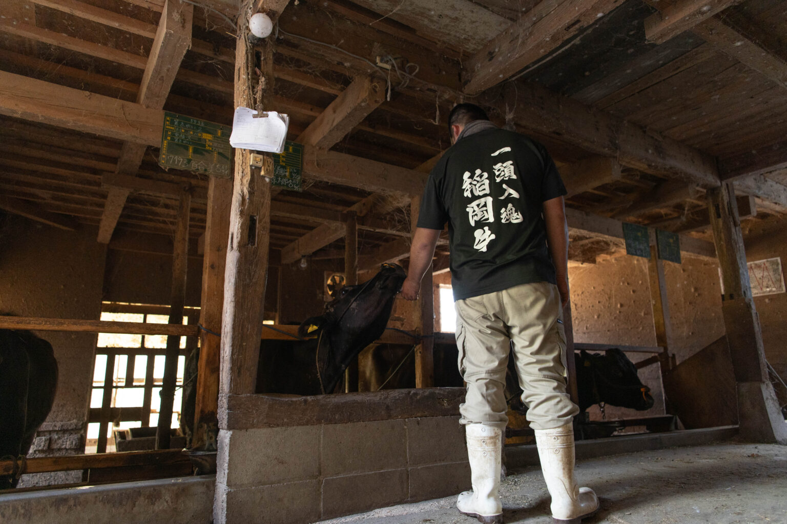 和牛繁殖の様子