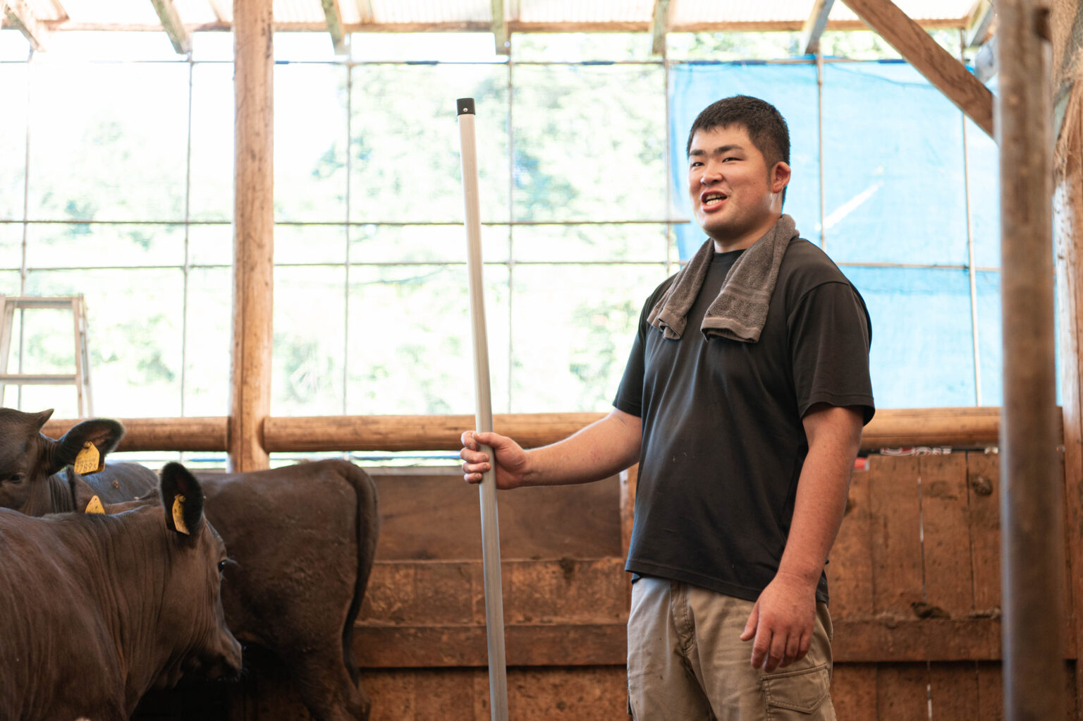 和牛繁殖の様子