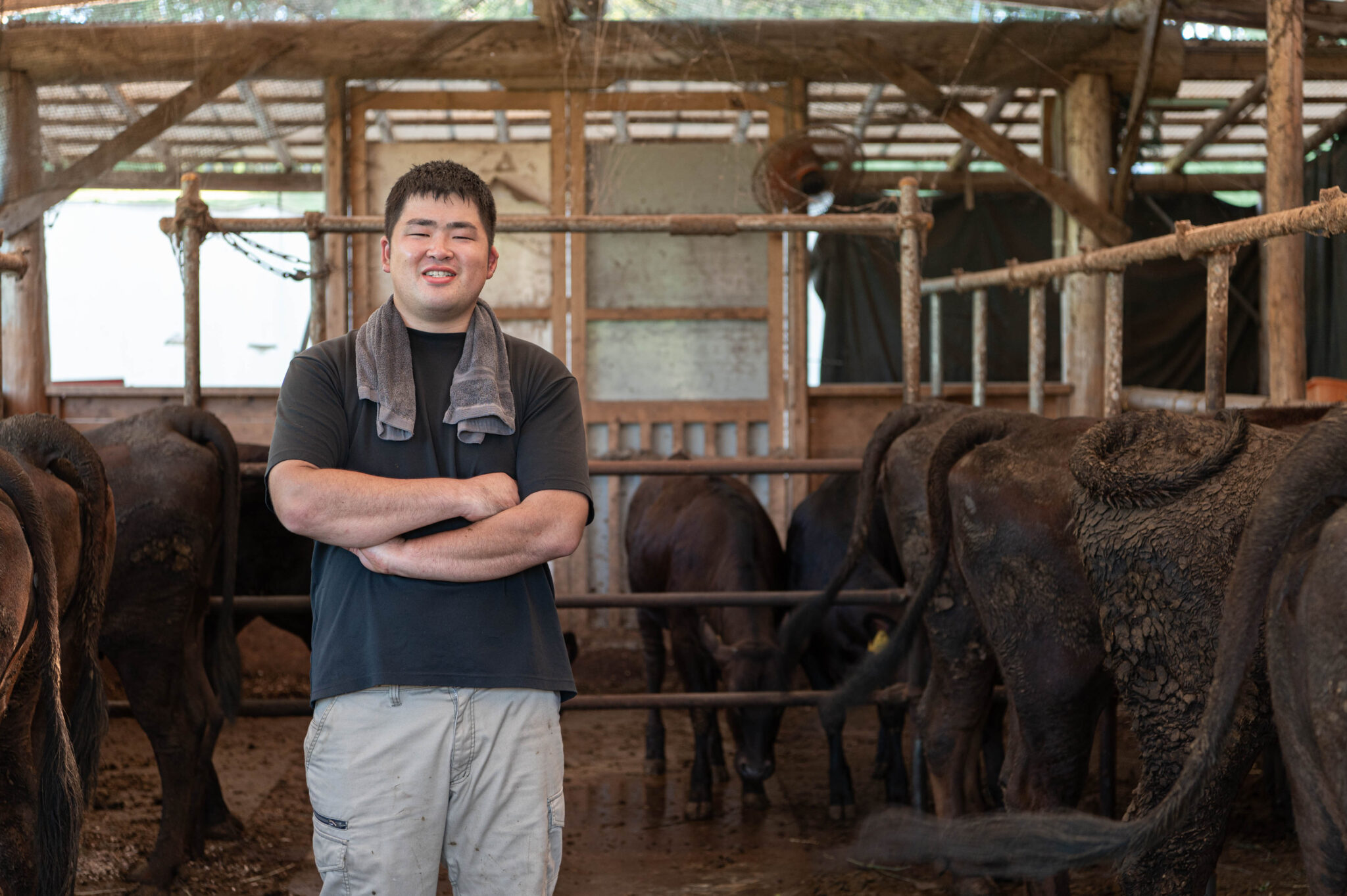 和牛繁殖の様子