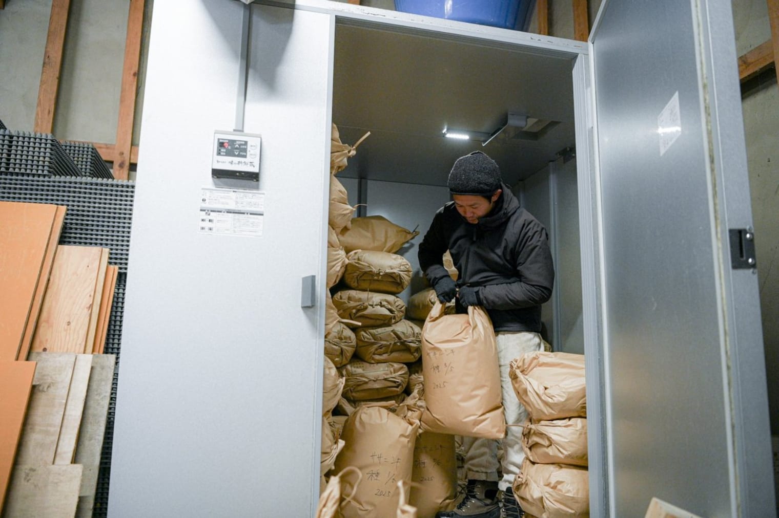 自然栽培の田んぼの様子