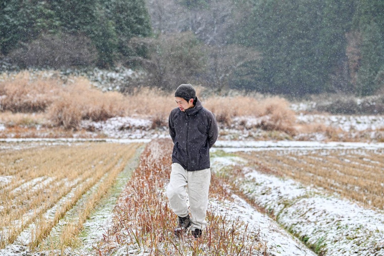 自然栽培に向き合う様子