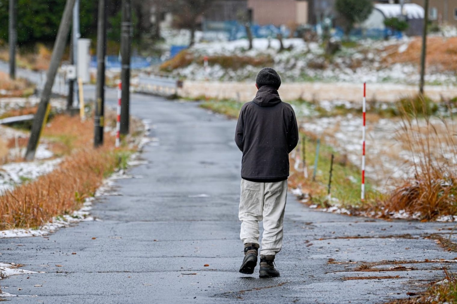 稲作の作業や一年のサイクルの様子
