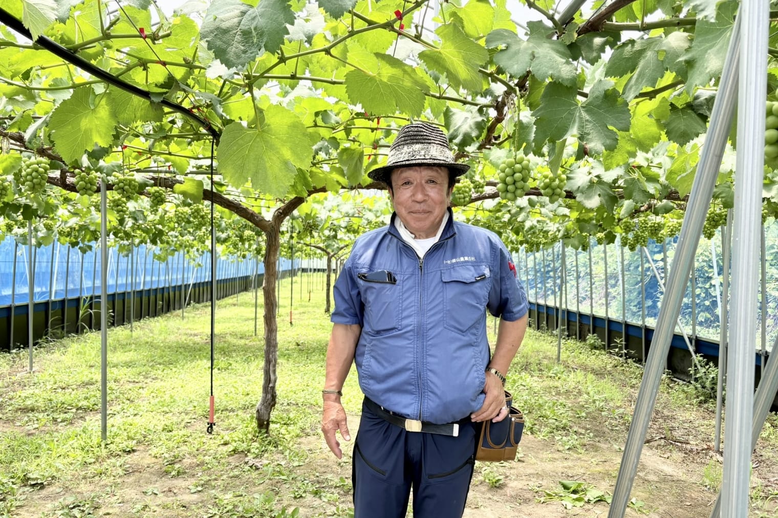 【まにわ農家手帖】ぶどう農家｜野尻さんの紹介