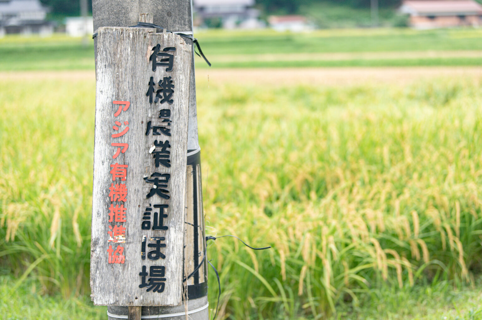 あいがも農法の様子