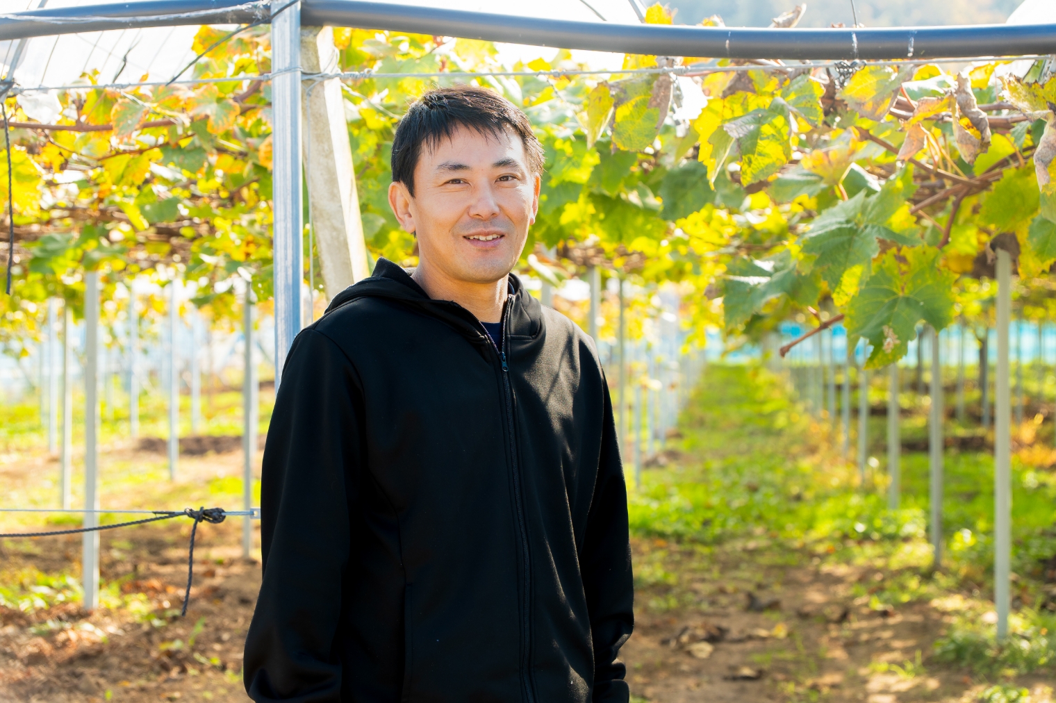 澤木正俊さんのブドウ栽培の様子