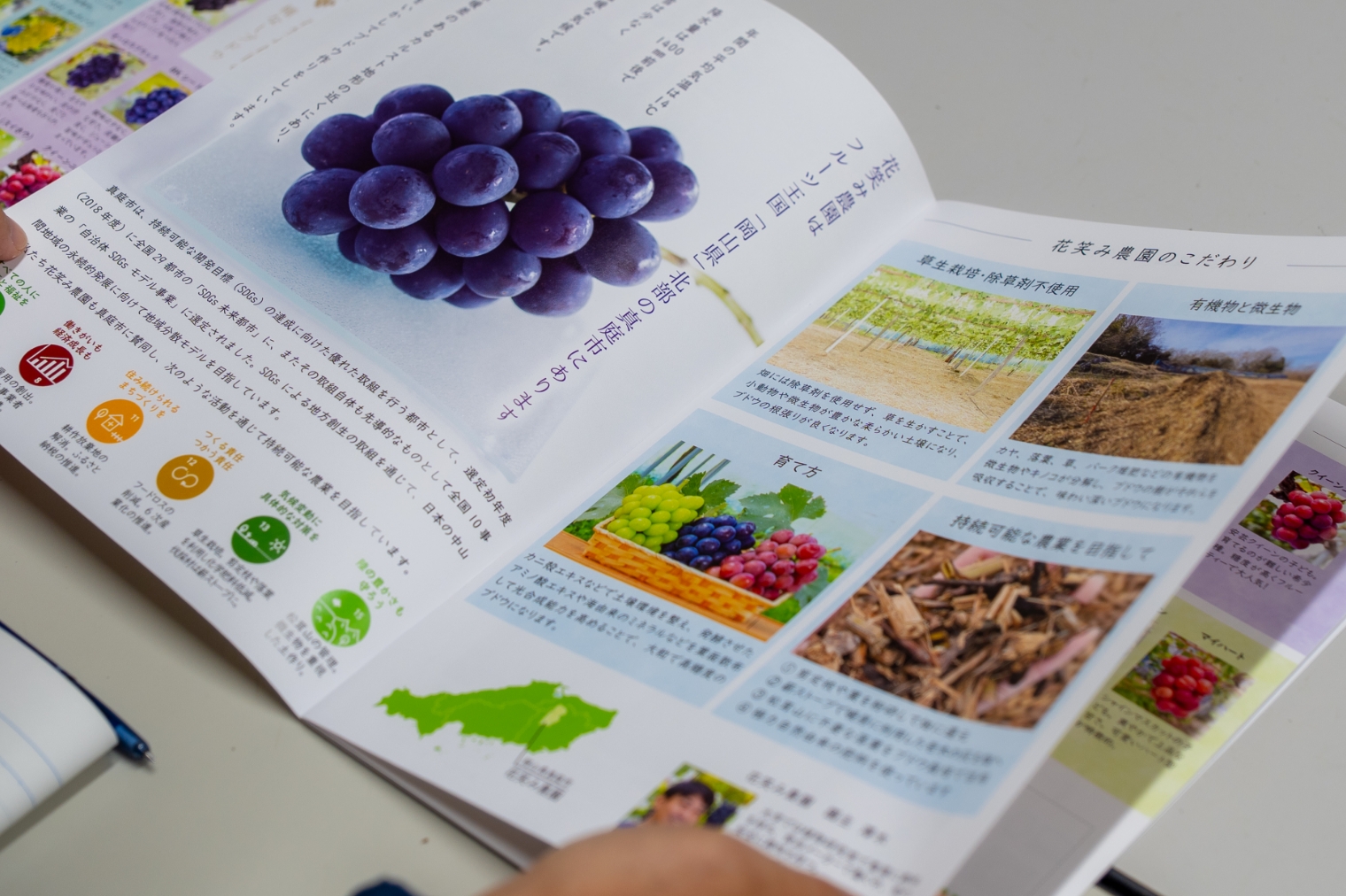 東真産業・花笑み農園のブドウ園の様子