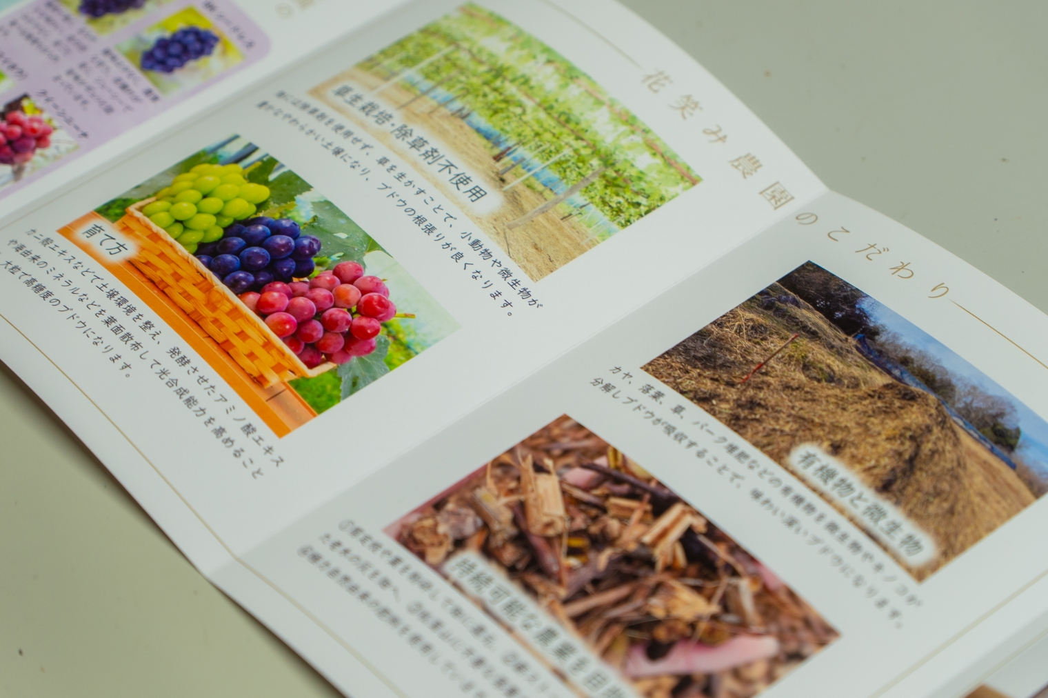 草生栽培と有機物を活かしたブドウ園