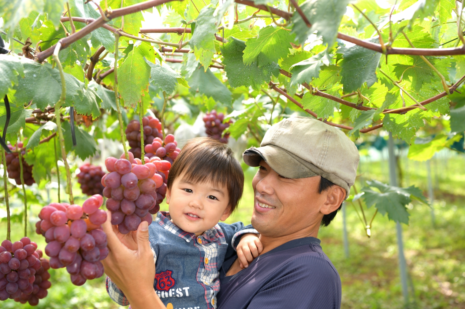 澤木正俊さんの農作業の様子