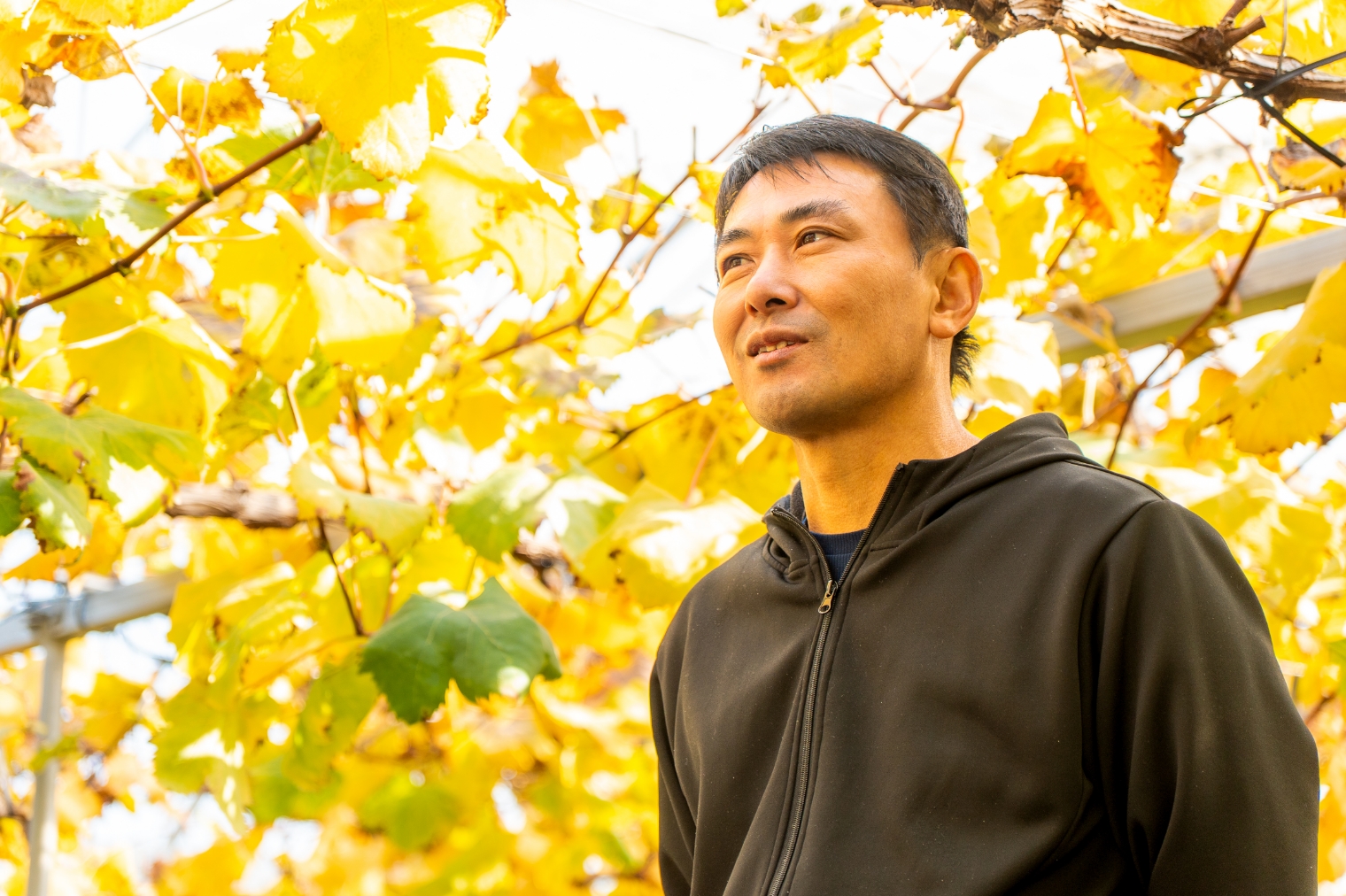 澤木正俊さんとブドウ園