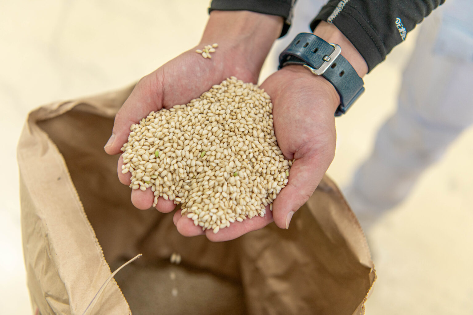 新庄村ライスセンター