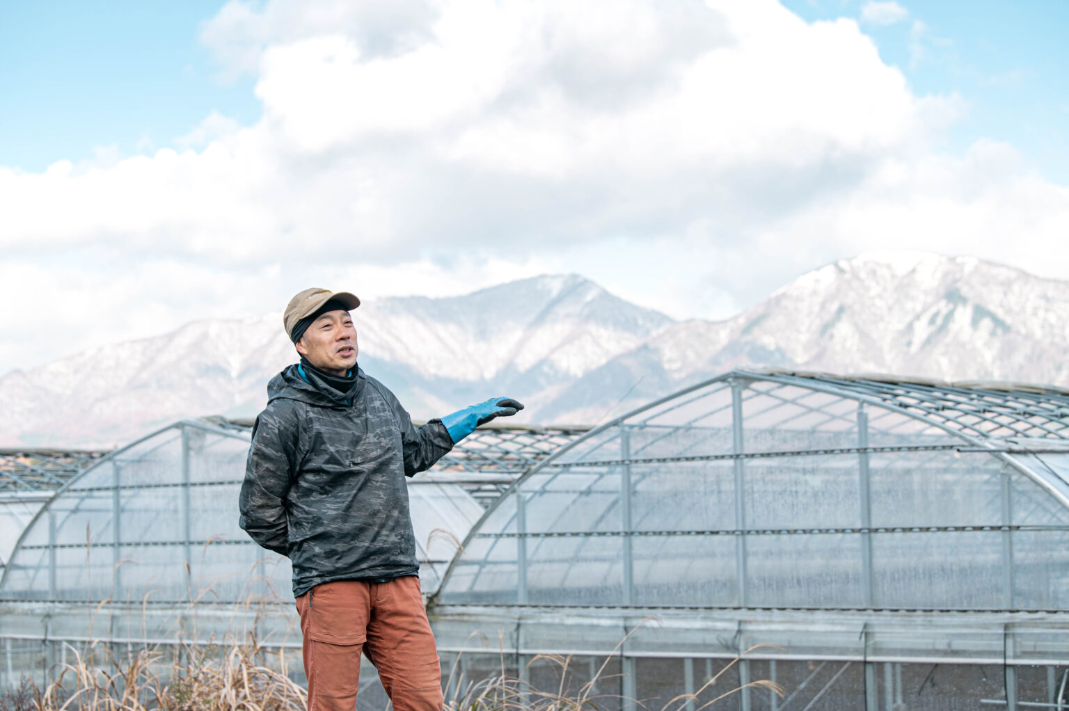 トマト栽培の様子