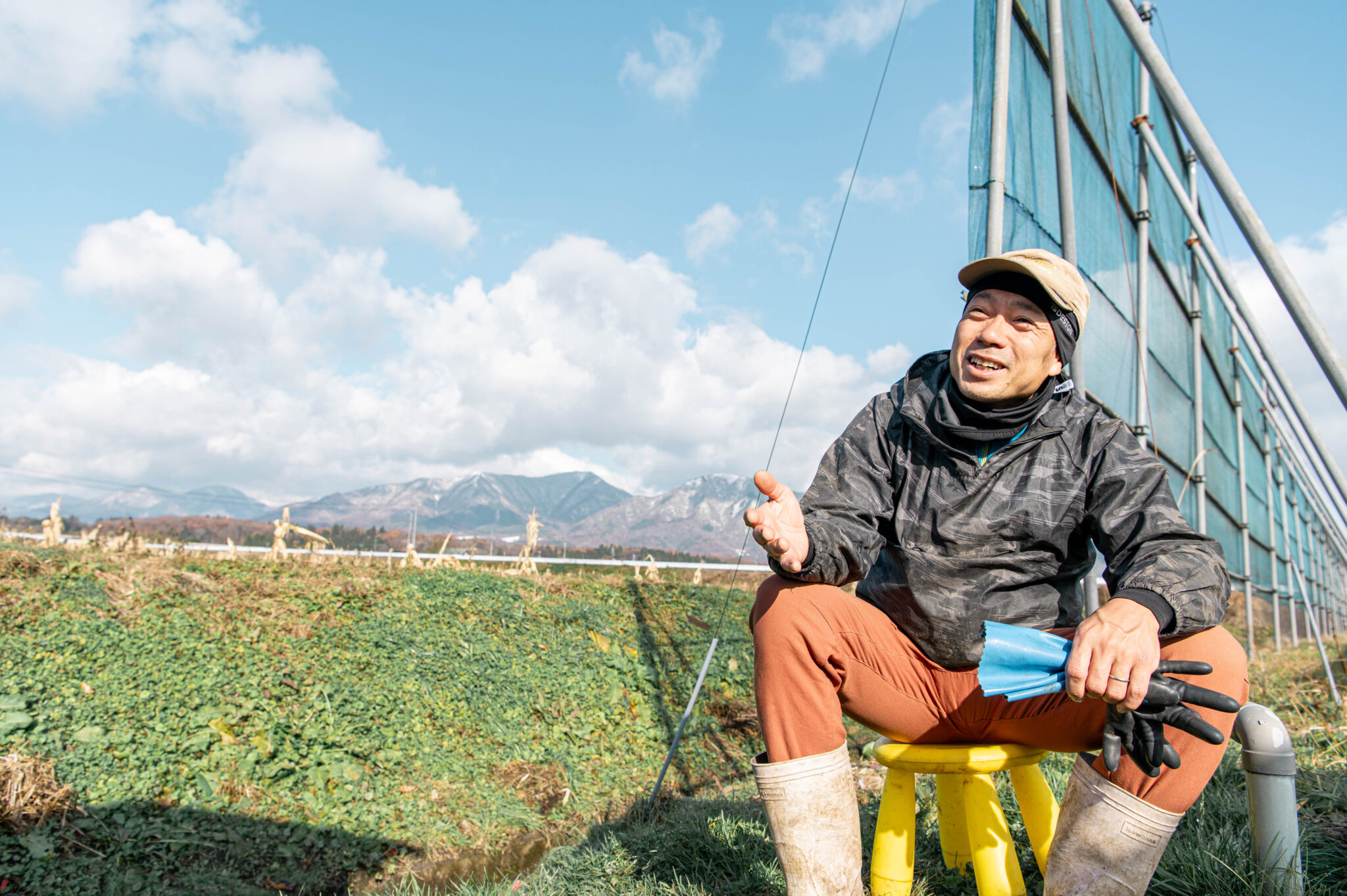 トマト栽培の様子