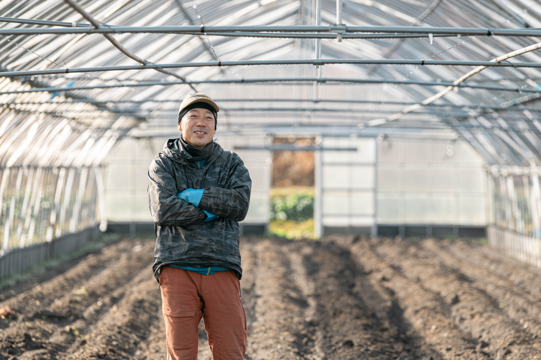 トマト栽培の様子